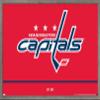 Trends International NHL Washington Capitals - Logo 21 Wall Poster, 22.375" x 34", Barnwood Framed Version view 1