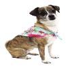 Matchable Family Hawaiian Luau Shirts, Pink Hibiscus Vine Turquoise, Dog, Size Small view 2
