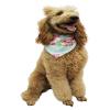 Matchable Family Hawaiian Luau Shirts, Pink Hibiscus Vine Turquoise, Dog, Size Small view 4