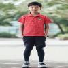 Wes and Willy Youth Boys/Girls NC Wolfpack Red Short Sleeve Polo Cloudy Yarn Medium view 3