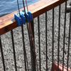 Gripper Fishing Bundle (Includes: One (1) Gripper Caddy Original 3 in Blue, Five (5) Sets of Gripper Pole Locks, and one (1) Gripper Carrying Strap) view 3