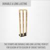 CBB Cricket Spring Return Stumps Wickets Metal Base Multi Surface Placement view 3