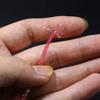 WellieSTR 10color Set Fly Tying Dyed Pearl Braided Lace Flat Diamond Braid Pearlescent Tones Shrimp Back Fly Tying Materials - 4yards/Color view 3