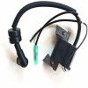 Boat Motor Ignition Coil Fit For Parsun 4- Stroke F4 F5 BM Outboard Engine Ignition Winding Assy F4-04000038 view 4