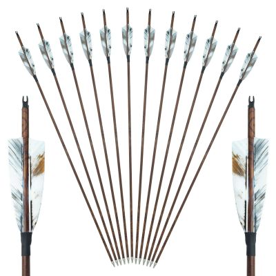 Archery Carbon Arrows 28/29/30/31 Inch 4 Inch Turkey Feather Spine 500 Competition Practice Hunting Target Shooting for Recurve Long Traditional Bow and Compound Bow 6/12Pcs (29 Inch,12 Pcs)