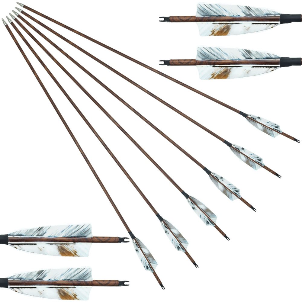 Archery Carbon Arrows 28/29/30/31 Inch 4 Inch Turkey Feather Spine 500 Competition Practice Hunting Target Shooting for Recurve Long Traditional Bow and Compound Bow 6/12Pcs (29 Inch,6 Pcs)