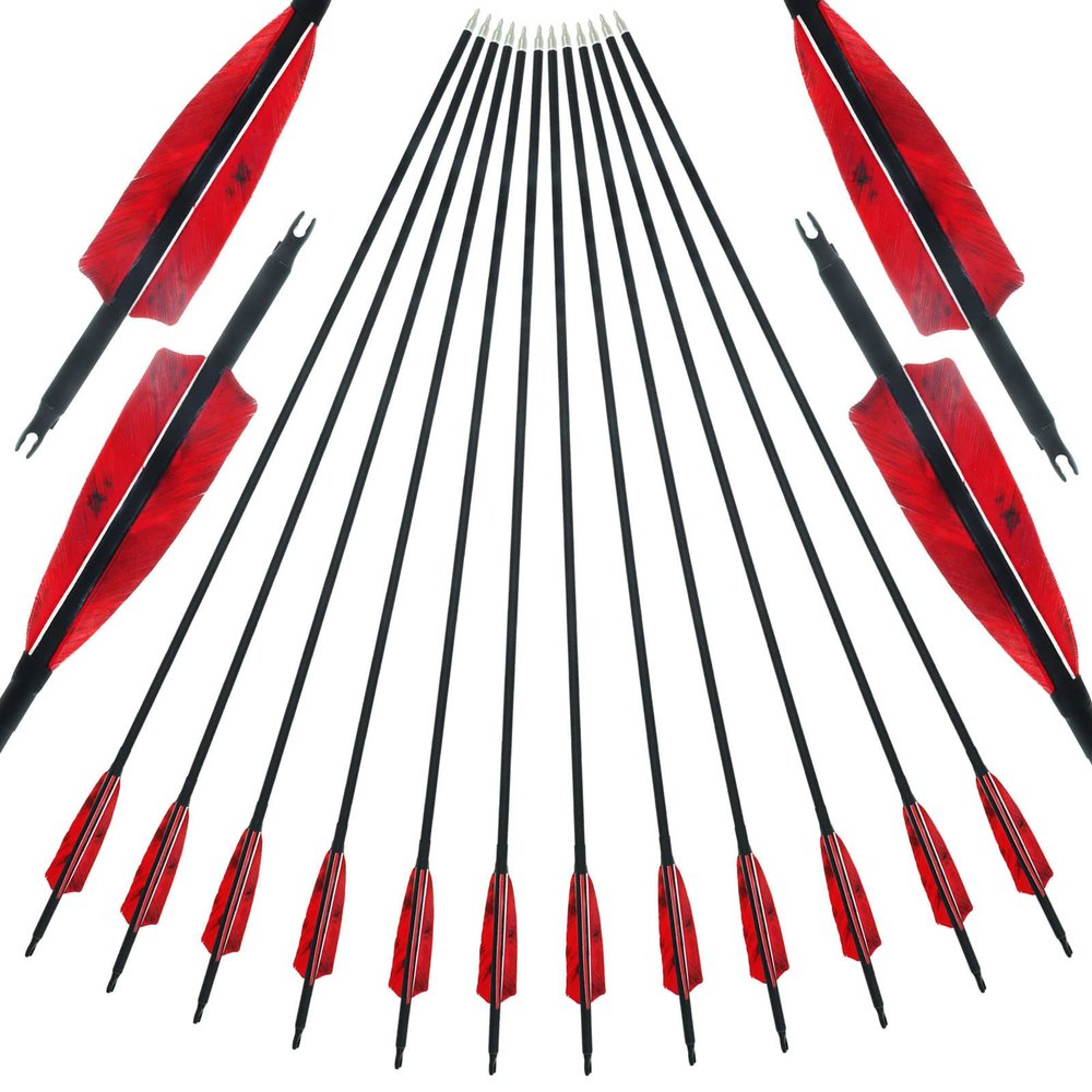30 inch Carbon Archery Arrows Spine 500 with 4 inch Natural Feathers 100 Grain Removable Tips for Recurve Long Traditional Bow and Compound Bow Targeting and Practice and Hunting 12 Pcs (Red)
