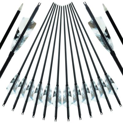 30 inch Carbon Archery Arrows Spine 500 with 4 inch Natural Feathers 100 Grain Removable Tips for Recurve Long Traditional Bow and Compound Bow Targeting and Practice and Hunting 12 Pcs (White)