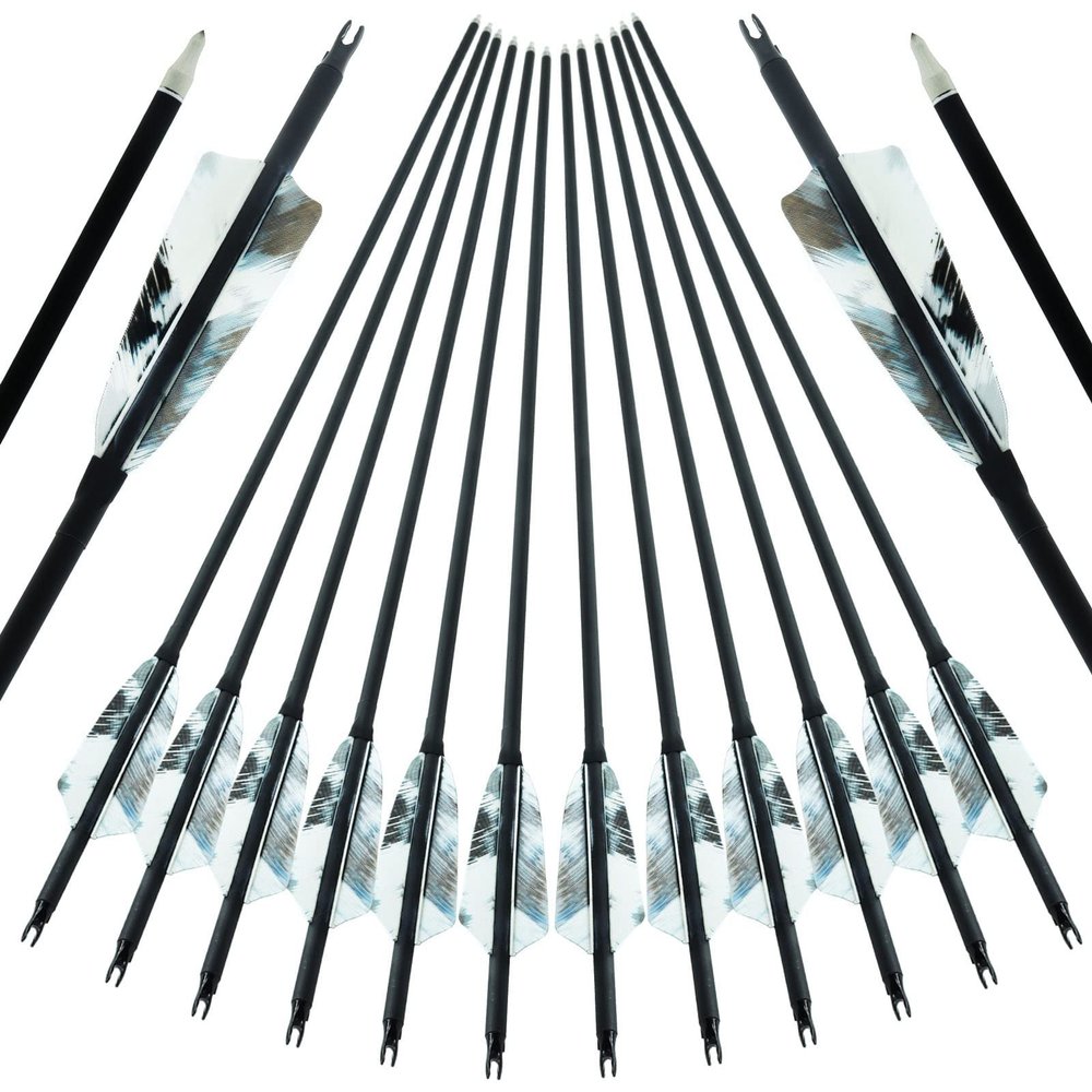 30 inch Carbon Archery Arrows Spine 500 with 4 inch Natural Feathers 100 Grain Removable Tips for Recurve Long Traditional Bow and Compound Bow Targeting and Practice and Hunting 12 Pcs (White)
