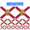 13 Pack Florida Flags | (x2) 4x2 inch, (x4) 2x1 inch, (x7) 1x.5 inch Flag Stickers | Country State Flags Pack Stickers for Cars, Trucks, Laptops, Bikes, Toolboxes, Skateboards, Windows and More view 1