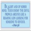 1 Peter 5:8 | Be Alert and of Sober Mind | Car Sticker 3x8 inches view 1