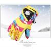 Winter Gloves for Kids Mittens Ski Gloves Snow Windproof Outdoor Sports Skiing Boys Girls Waterproof Warm Ski Gloves (A, One Size) view 2