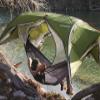 Sunda 2.0 Ground-to-Air Tent view 3
