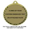 Express Medals Personalized Bowling Gold Medal with Red White & Blue Neck Ribbon Award Trophy WAM9 (10) view 3