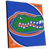 PhotoFile University of Florida Gators Team Logo 16"x20" Stretched Canvas view 1
