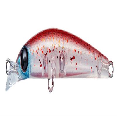 Cormoran S Magic #A127 Firefly Squid