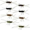 The Fly Fishing Place Tungsten Bead Jigged Pat's Rubber Legs Nymph Assortment Fly Fishing Flies - Trout and Bass Wet Fly Pattern - 8 Flies Hook Size 10 view 1
