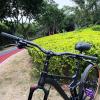 BUCKLOS Mountain Bike MTB Handlebars 25.4/31.8mm - 20/30/50/90/100/120/160mm Rise MTB Aluminum Alloy Handlebar - 720/780mm Extra Long Bicycle Riser HandleBars for E-Bike Folding Bike Downhill Racing. view 2