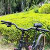 BUCKLOS Mountain Bike MTB Handlebars 25.4/31.8mm - 20/30/50/90/100/120/160mm Rise Aluminum Alloy Handlebar - 720/780mm Extra Long Bicycle Riser HandleBars for E-Bike Folding Bike Downhill Racing. view 2