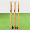 FORTRESS Spring Back Cricket Stumps - 28in ICC Regulation Stumps for Cricket | Club & Pro Styles | Spring Back Wickets & Bails | Freestanding Cricket Set for Seniors (Pro (English Ash)) view 2