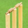 FORTRESS Spring Back Cricket Stumps - 28in ICC Regulation Stumps for Cricket | Club & Pro Styles | Spring Back Wickets & Bails | Freestanding Cricket Set for Seniors (Pro (English Ash)) view 4