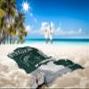 Northwest NCAA State Line Beach Towel, 30x60, Michigan State Spartans view 2
