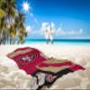 Northwest NFL State Line Beach Towel, 30x60, San Francisco 49ers view 2