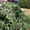 KOOEIN Woodland Camouflage Net,Hunting Camouflage Net,Privacy Net with Grid,Interior Decoration Netting,Sunscreen/Anti-uv,Breathable Net,car Covers,2x6m/6.6x19.7ft view 4