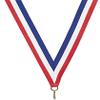 Express Medals Custom Baseball Gold Medal Trophy Award with Neck Ribbon & Attached Engraved Plate on Back LAZD214-EG10 10PK view 4