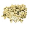 Shanbor Belly Dance Costume Coins, Exquisite Dancing Disc for DIY Costume(Gold (Bird Coin)) view 1