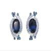 Faship Statement Navy Blue Crystal Floral Clip On Earrings - Navy Blue view 3