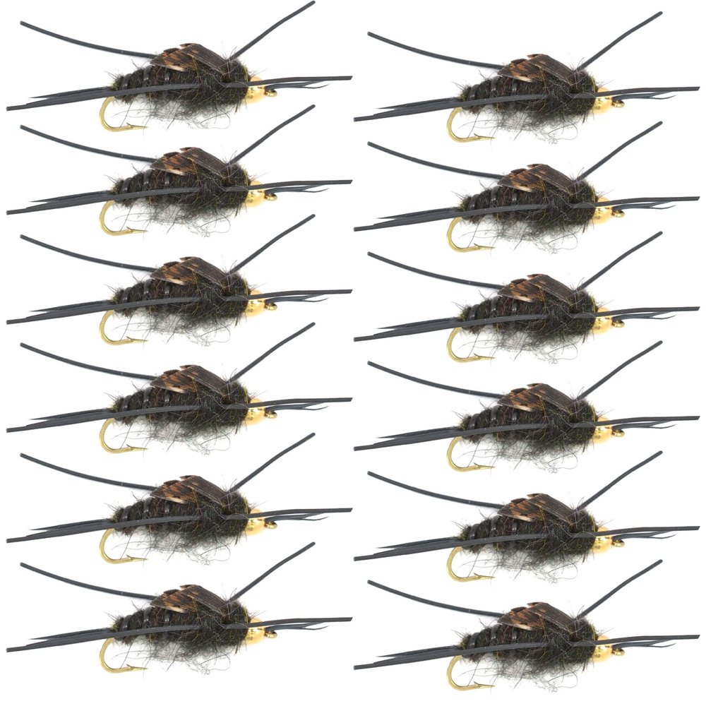 The Fly Fishing Place Bead Head Nymph Fly Fishing Flies - Kaufmann's Black Stone Fly with Rubber Legs - Stonefly Wet Fly - 12 Flies Hook Size 8