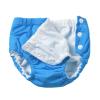 QinCiao Baby Boys Girls Reusable Swim Diaper Rash Guard Swimming Diapers Swimwear Pants Blue 6-9 Months view 3