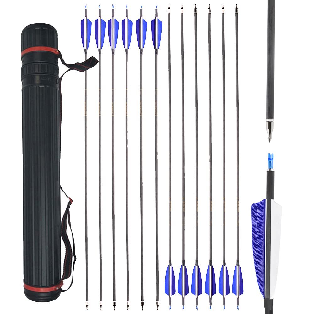 AMEYXGS 34 Inch Carbon Arrows 400 Spine Hunting Arrows with Removable Tips and 4 Turkey Feather Target Practice Arrow for Compound & Recurve & Long Bow 6/12 Pcs (Blue Set, 12 pcs)