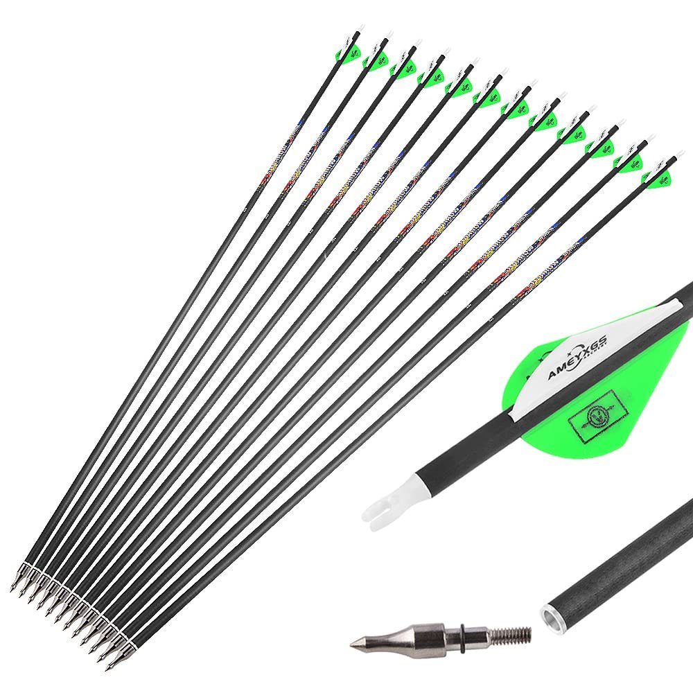 AMEYXGS 31inch Carbon Arrows Hunting Arrows Spine 250 300 350 400 500 600 Target Practice Arrows with Removable Tips for Archery Compound and Recurve Traditional Bow 6/12pcs (6pcs, Spine 250)