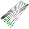 AMEYXGS 31inch Carbon Arrows Hunting Arrows Spine 250 300 350 400 500 600 Target Practice Arrows with Removable Tips for Archery Compound and Recurve Traditional Bow 6/12pcs (6pcs, Spine 250) view 2