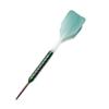 CUESOUL Green GEM Stone 21g Steel Tip 90% Tungsten Darts view 2