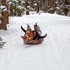 SnowCandy  Inflatable Heavy-Duty Snow Tubes Collection, Durable Cold-Resistant Winter Sledding Tubes for Kids & Adults (Multiple Styles Available) (42" T-Rex Dinosaur Snow Tube) view 4