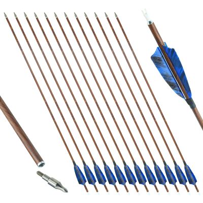 OBTOUTDOOR 30 inch Archery Carbon Arrows Hunting Arrows Target Arrows 12 PCS Real Feather vanes and Removable Tips Spine 400 500 600 for Compound Bows Recurve Bows Long Bows (Blue,Spine 400)