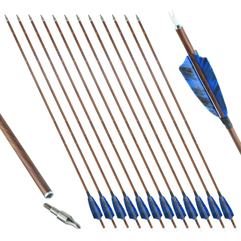 OBTOUTDOOR 30 inch Archery Carbon Arrows Hunting Arrows Target Arrows 12 PCS Real Feather vanes and Removable Tips Spine 400 500 600 for Compound Bows Recurve Bows Long Bows (Blue,Spine 400)