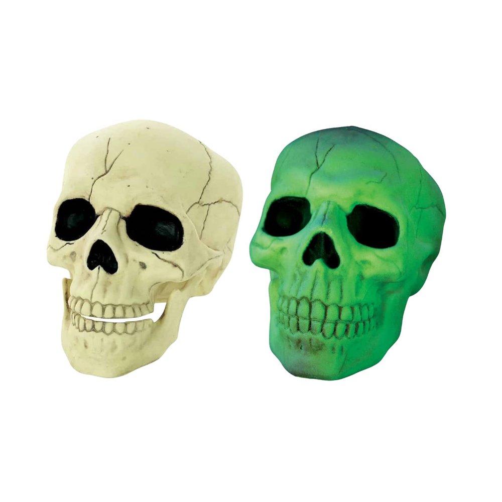 Crazy Bonez Seasons (HK) Ltd. Glow in The Dark Skull Prop Standard