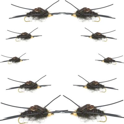 The Fly Fishing Place Basics Collection - Kaufmann's Black Stonefly Nymph Assortment - 10 Bead Head Rubber Legs Wet Flies - 2 Each Hook Sizes 4, 6, 8, 10, and 12