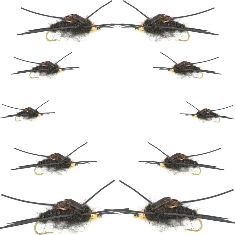 The Fly Fishing Place Basics Collection - Kaufmann's Black Stonefly Nymph Assortment - 10 Bead Head Rubber Legs Wet Flies - 2 Each Hook Sizes 4, 6, 8, 10, and 12
