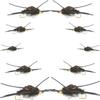 The Fly Fishing Place Basics Collection - Kaufmann's Black Stonefly Nymph Assortment - 10 Bead Head Rubber Legs Wet Flies - 2 Each Hook Sizes 4, 6, 8, 10, and 12 view 1