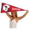 Illinois State Redbirds Football Helmet Pennant view 4