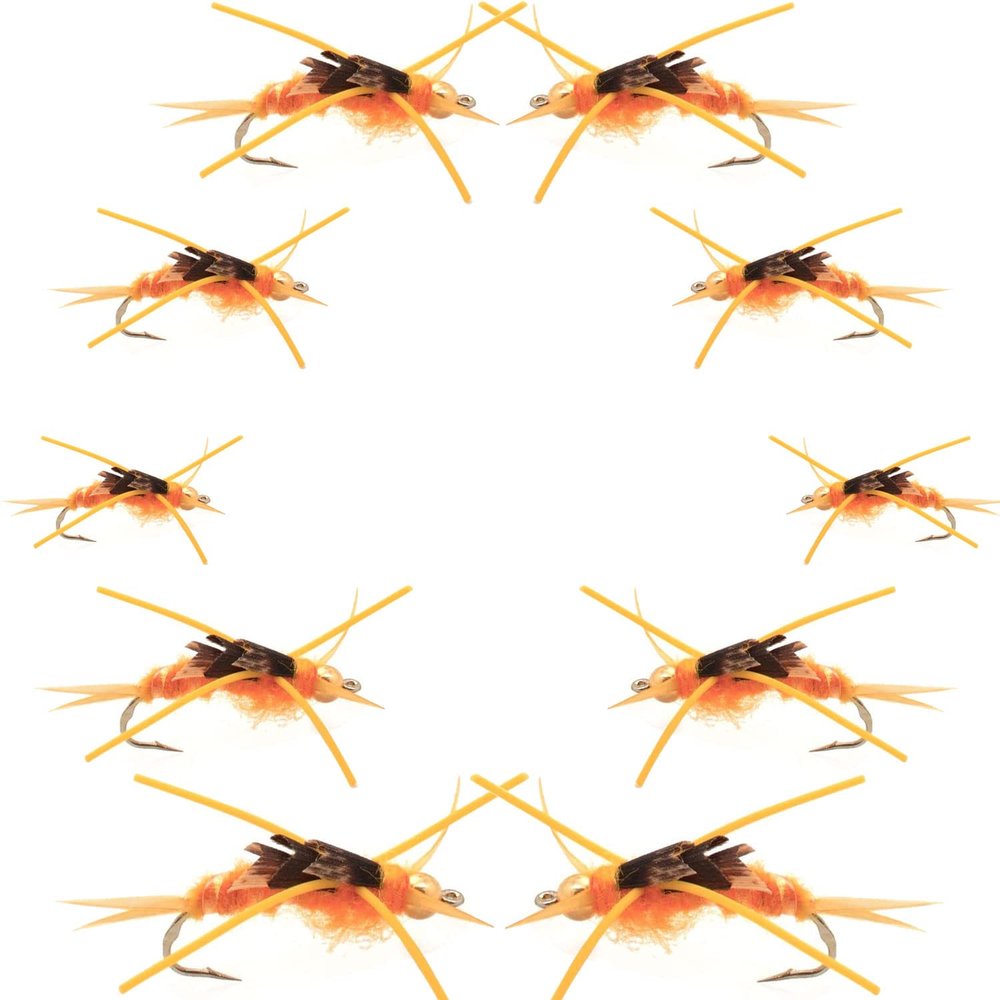 The Fly Fishing Place Basics Collection - Kaufmann's Golden Stonefly Nymph Assortment - 10 Bead Head Rubber Legs Wet Flies - Hook Sizes 6, 8, 10, and 12