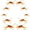The Fly Fishing Place Basics Collection - Kaufmann's Golden Stonefly Nymph Assortment - 10 Bead Head Rubber Legs Wet Flies - Hook Sizes 6, 8, 10, and 12 view 1