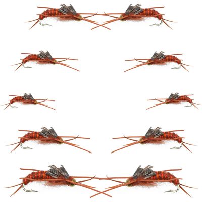 The Fly Fishing Place Basics Collection - Kaufmann's Brown Stonefly Nymph Assortment - 10 Bead Head Rubber Legs Wet Flies - Hook Sizes 6, 8, 10, and 12