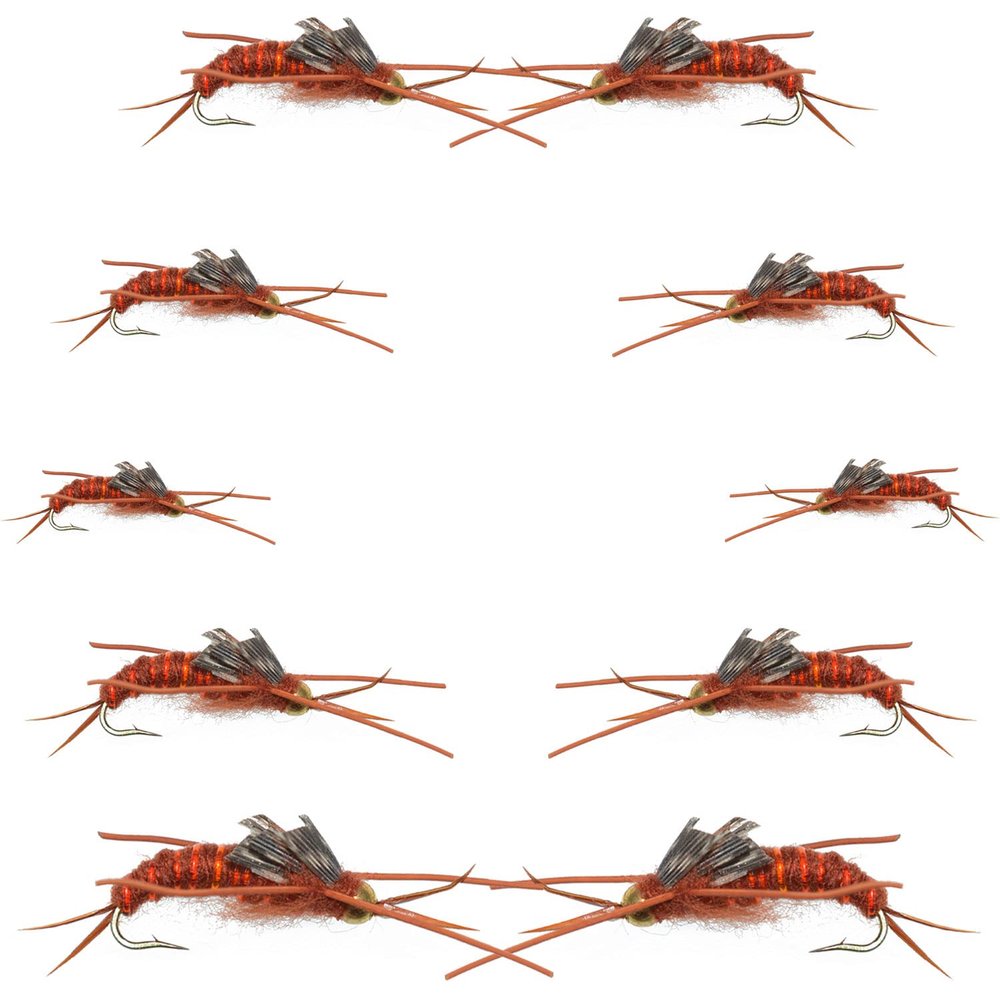 The Fly Fishing Place Basics Collection - Kaufmann's Brown Stonefly Nymph Assortment - 10 Bead Head Rubber Legs Wet Flies - Hook Sizes 6, 8, 10, and 12