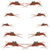 The Fly Fishing Place Basics Collection - Kaufmann's Brown Stonefly Nymph Assortment - 10 Bead Head Rubber Legs Wet Flies - Hook Sizes 6, 8, 10, and 12 view 1